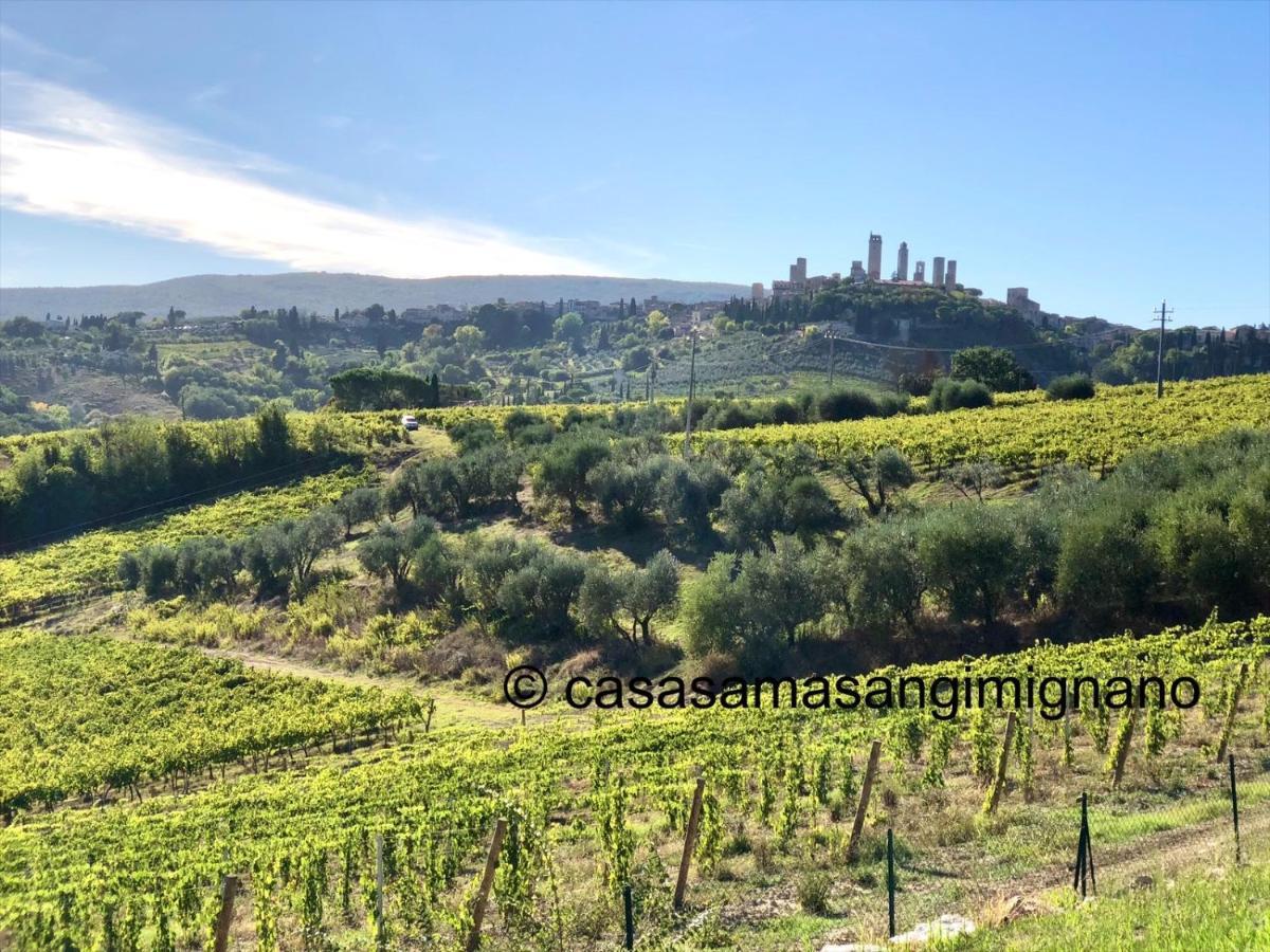 Apartament Charming House - Parking Included San Gimignano Zewnętrze zdjęcie